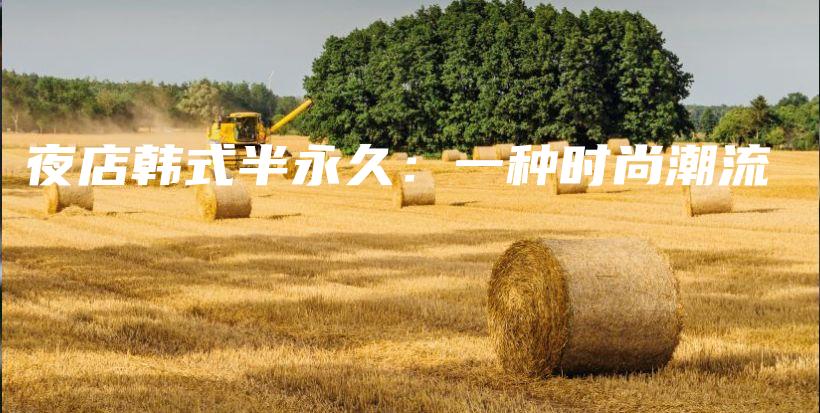 夜店韩式半永久：一种时尚潮流插图