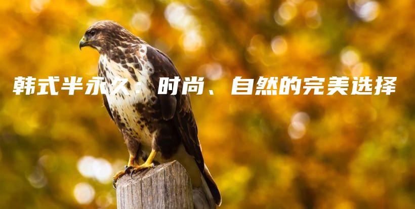 韩式半永久：时尚、自然的完美选择插图