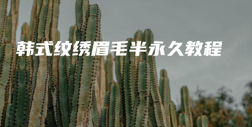 韩式纹绣眉毛半永久教程插图