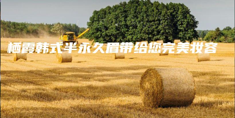 栖霞韩式半永久眉带给您完美妆容插图