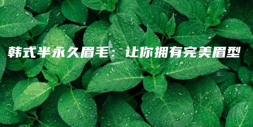 韩式半永久眉毛：让你拥有完美眉型插图