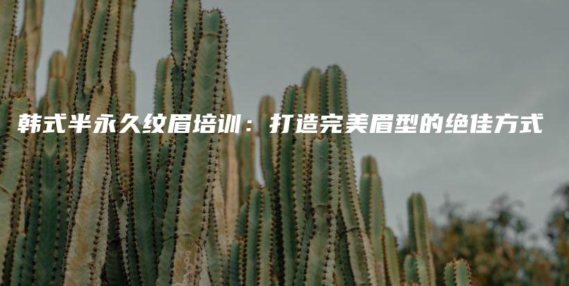 韩式半永久纹眉培训：打造完美眉型的绝佳方式插图