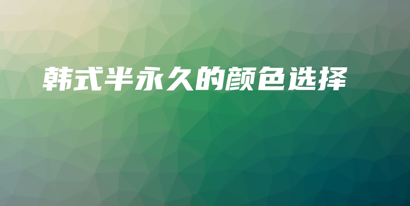 韩式半永久的颜色选择插图