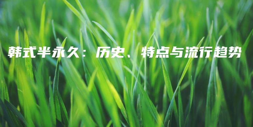 韩式半永久：历史、特点与流行趋势插图