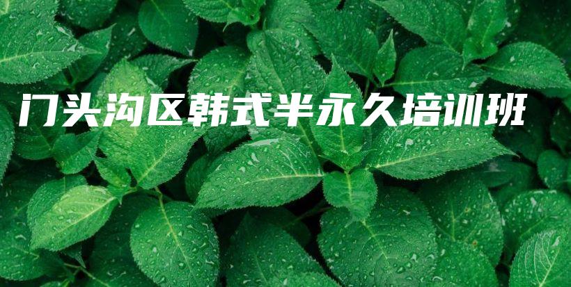 门头沟区韩式半永久培训班插图