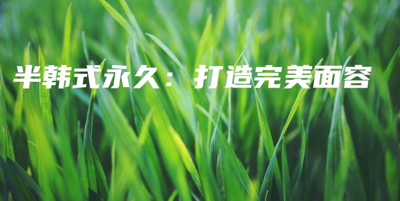 半韩式永久：打造完美面容插图