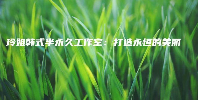 玲姐韩式半永久工作室：打造永恒的美丽插图
