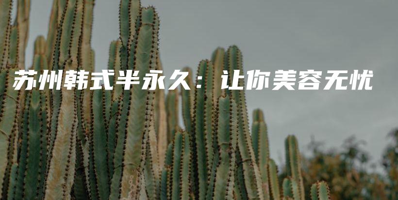 苏州韩式半永久：让你美容无忧插图