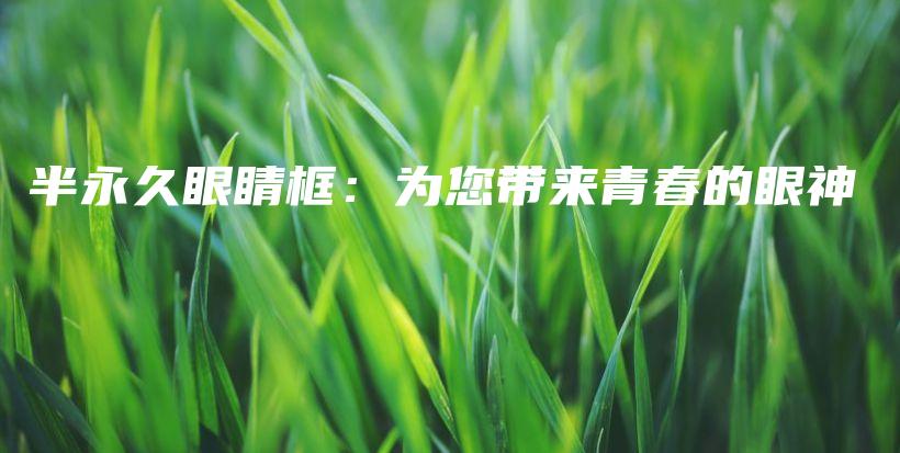 半永久眼睛框：为您带来青春的眼神插图
