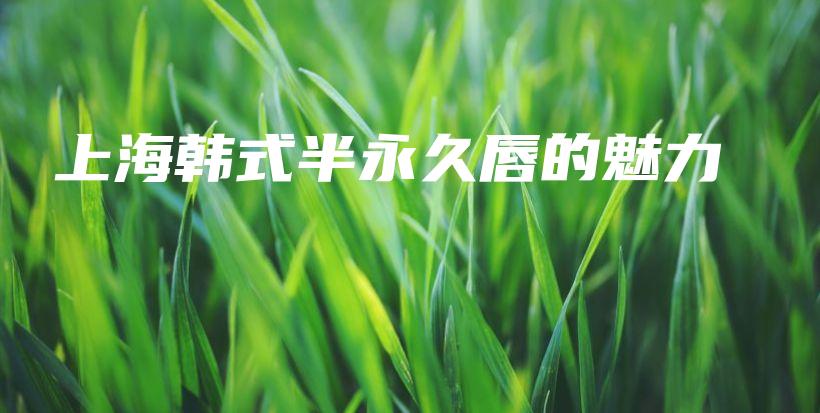 上海韩式半永久唇的魅力插图