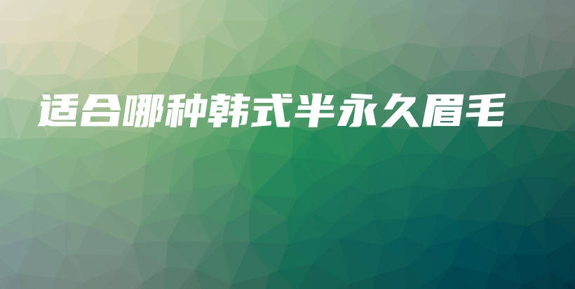 适合哪种韩式半永久眉毛插图