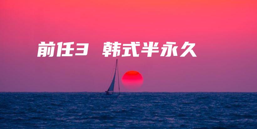 前任3 韩式半永久插图