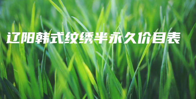 辽阳韩式纹绣半永久价目表插图