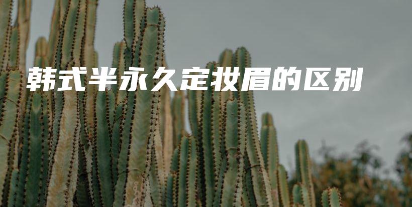 韩式半永久定妆眉的区别插图