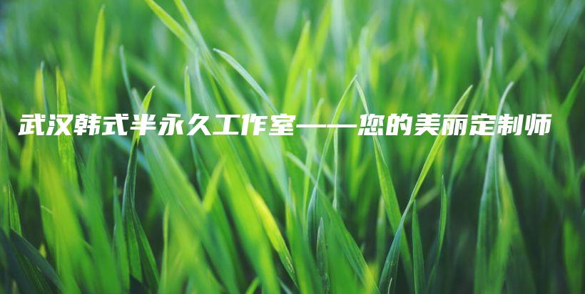 武汉韩式半永久工作室——您的美丽定制师插图