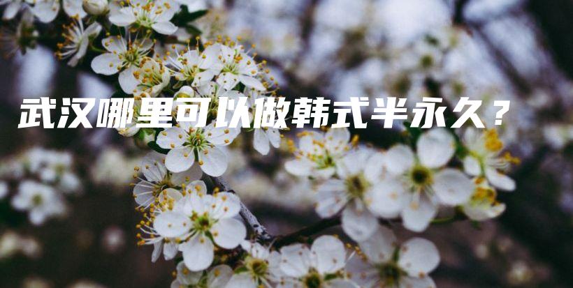 武汉哪里可以做韩式半永久？插图