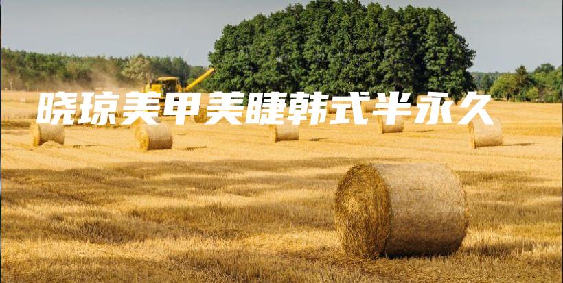 晓琼美甲美睫韩式半永久插图
