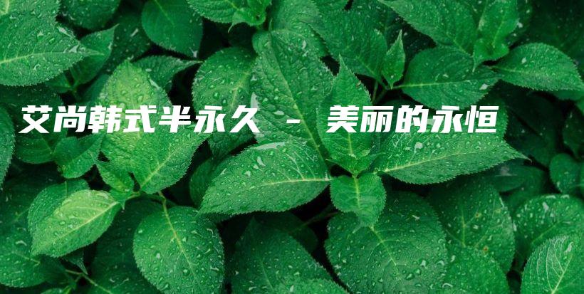 艾尚韩式半永久 – 美丽的永恒插图
