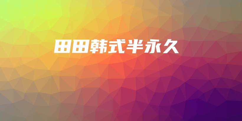 田田韩式半永久插图