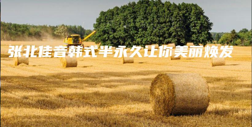 张北佳音韩式半永久让你美丽焕发插图