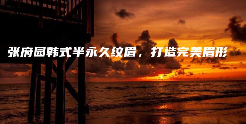 张府园韩式半永久纹眉，打造完美眉形插图