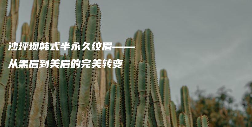 沙坪坝韩式半永久纹眉——从黑眉到美眉的完美转变插图