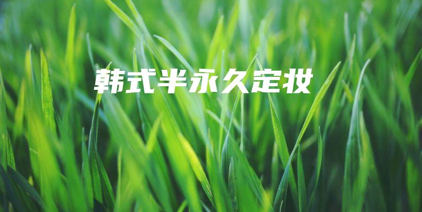 韩式半永久定妆插图