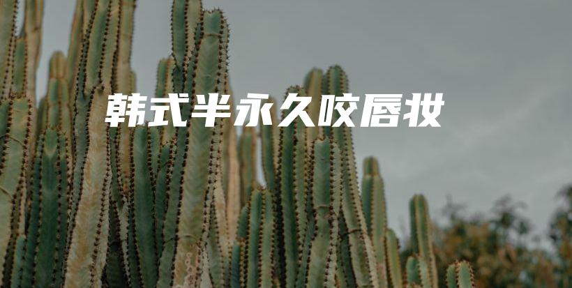 韩式半永久咬唇妆插图