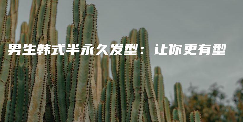 男生韩式半永久发型：让你更有型插图
