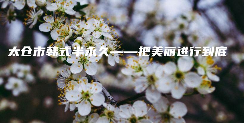 太仓市韩式半永久——把美丽进行到底插图