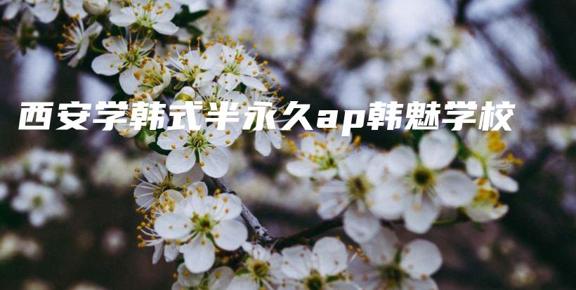 西安学韩式半永久ap韩魅学校插图