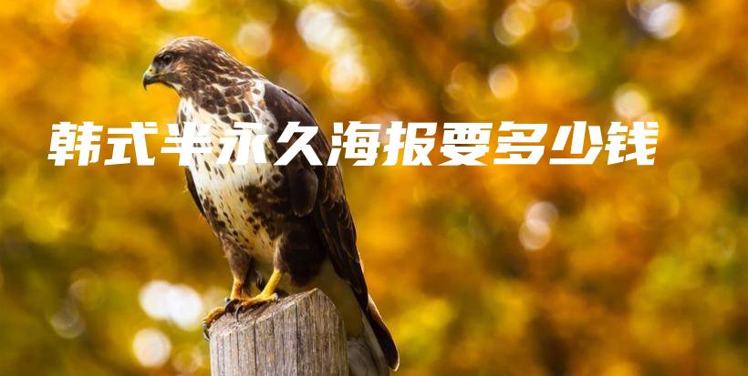 韩式半永久海报要多少钱插图