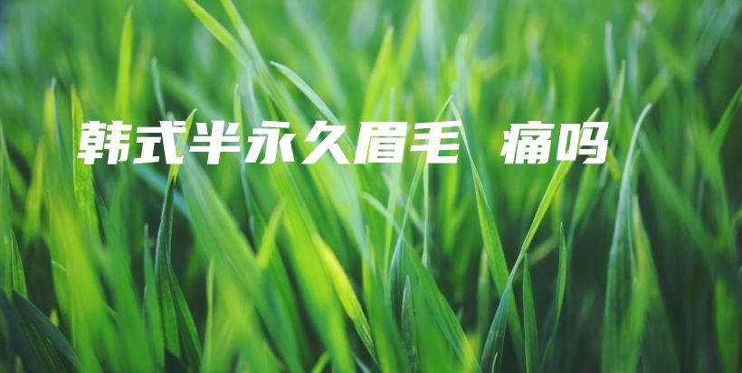 韩式半永久眉毛 痛吗插图