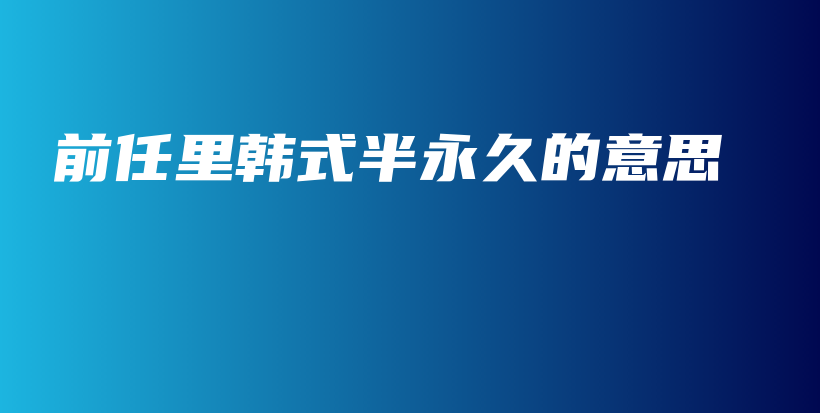 前任里韩式半永久的意思插图