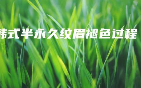 韩式半永久纹眉褪色过程