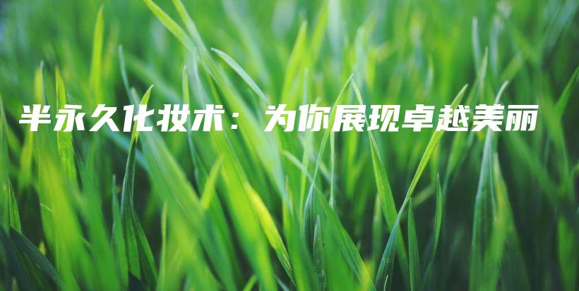 半永久化妆术：为你展现卓越美丽插图