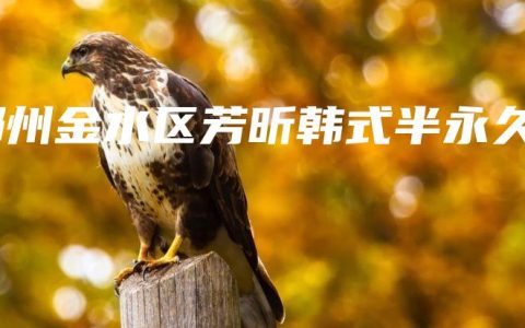 郑州金水区芳昕韩式半永久