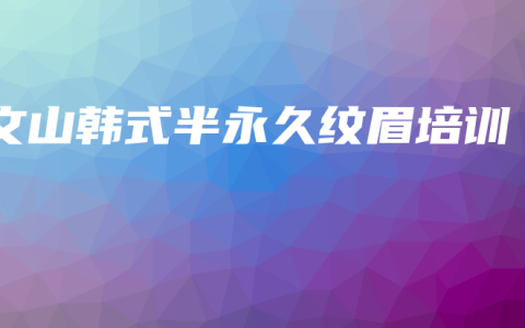 文山韩式半永久纹眉培训