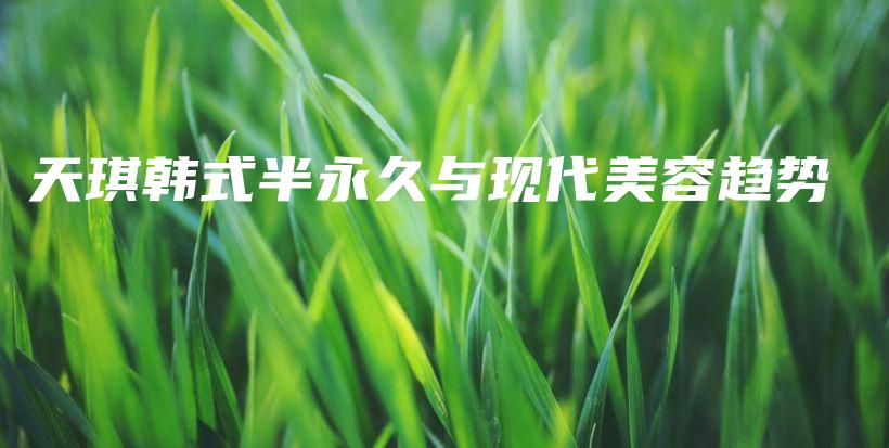 天琪韩式半永久与现代美容趋势插图