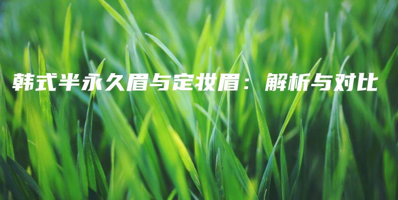 韩式半永久眉与定妆眉：解析与对比插图