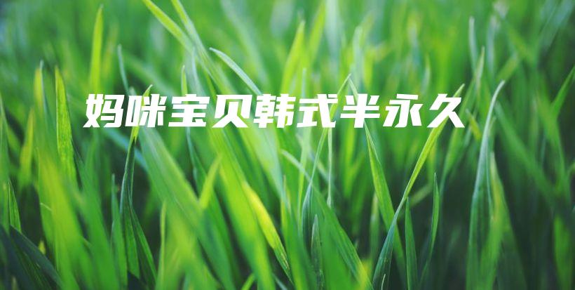妈咪宝贝韩式半永久插图