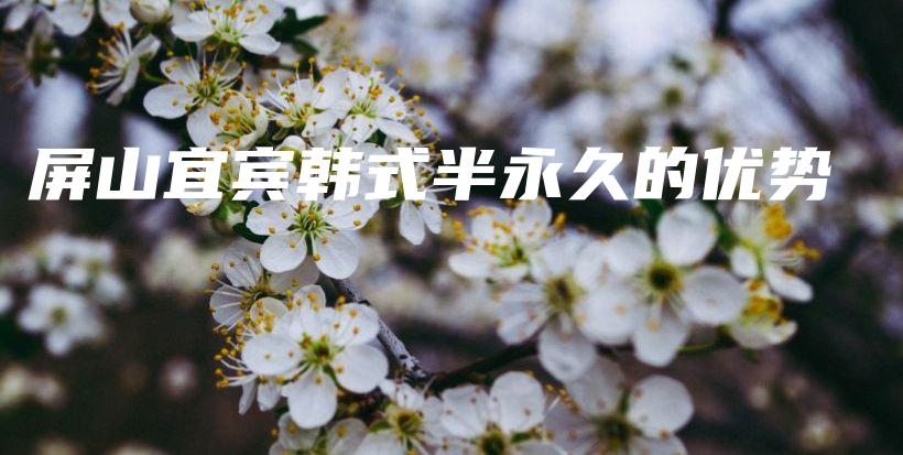 屏山宜宾韩式半永久的优势插图