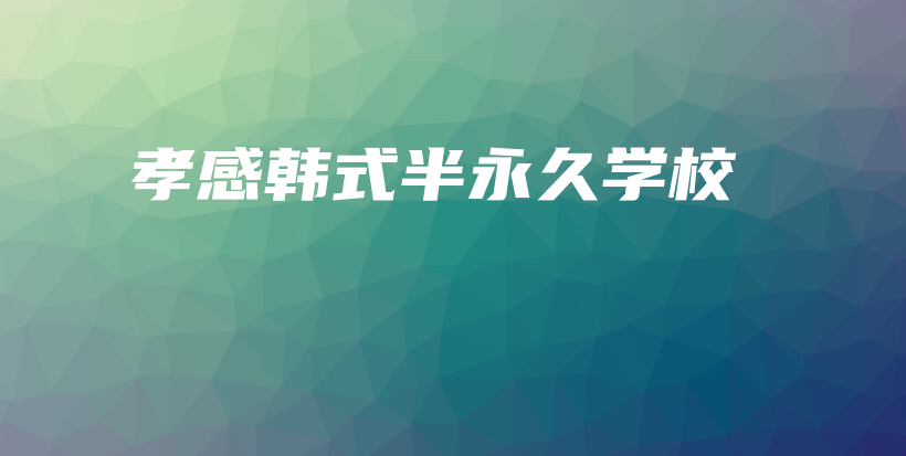 孝感韩式半永久学校插图