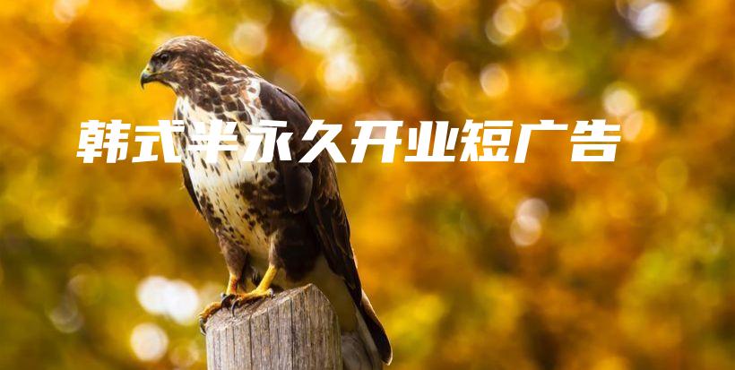 韩式半永久开业短广告插图