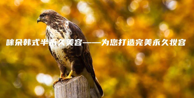咪朵韩式半永久美容——为您打造完美永久妆容插图