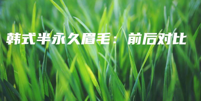 韩式半永久眉毛：前后对比插图