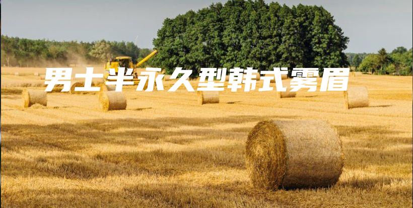 男士半永久型韩式雾眉插图