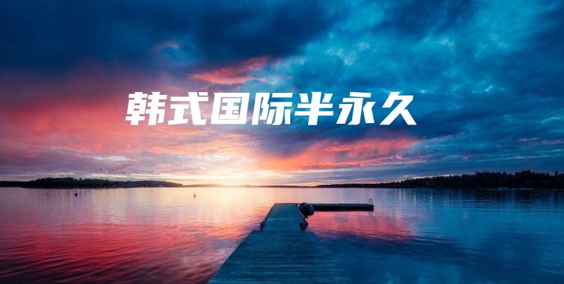 韩式国际半永久插图
