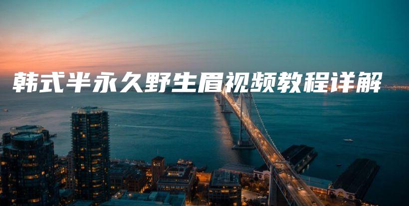 韩式半永久野生眉视频教程详解插图