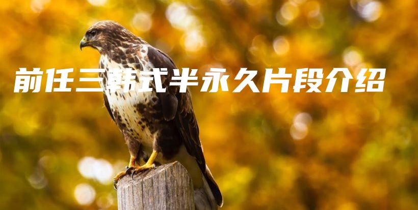 前任三韩式半永久片段介绍插图